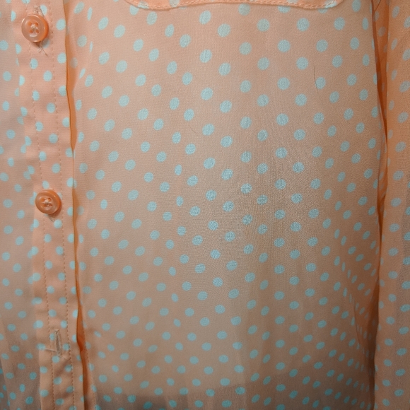 ☀️American Eagle Outfitters polka dot button down - Picture 6 of 8
